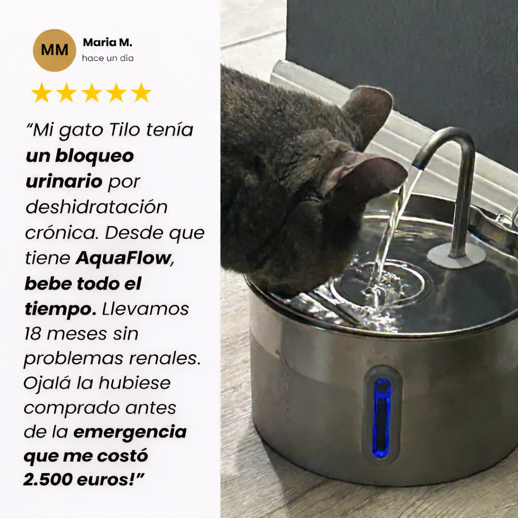 💧AquaFlow™ – Smart Cat Fountain