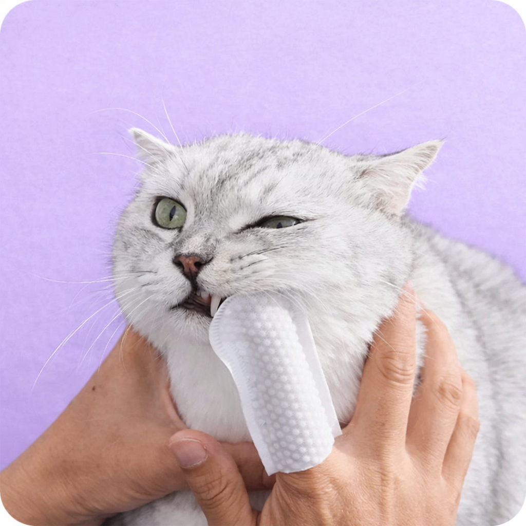 🦷 DentaPaw™ – Easy, fast, and stress-free dental cleaning (50pcs)