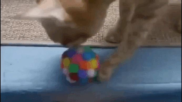 🔔 BellBalls® – 3-Pack Interactive Balls