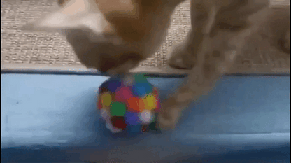 🔔 BellBalls® – 3-Pack Interactive Balls