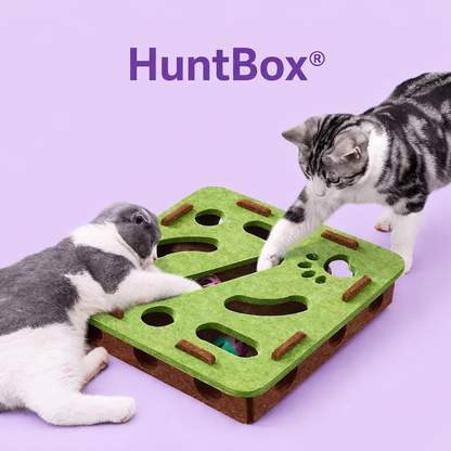 🎯HuntBox® – Interactive hunting box