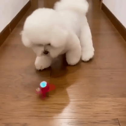 🪀ChaseBall® – Interactive Ball for Dogs and Cats
