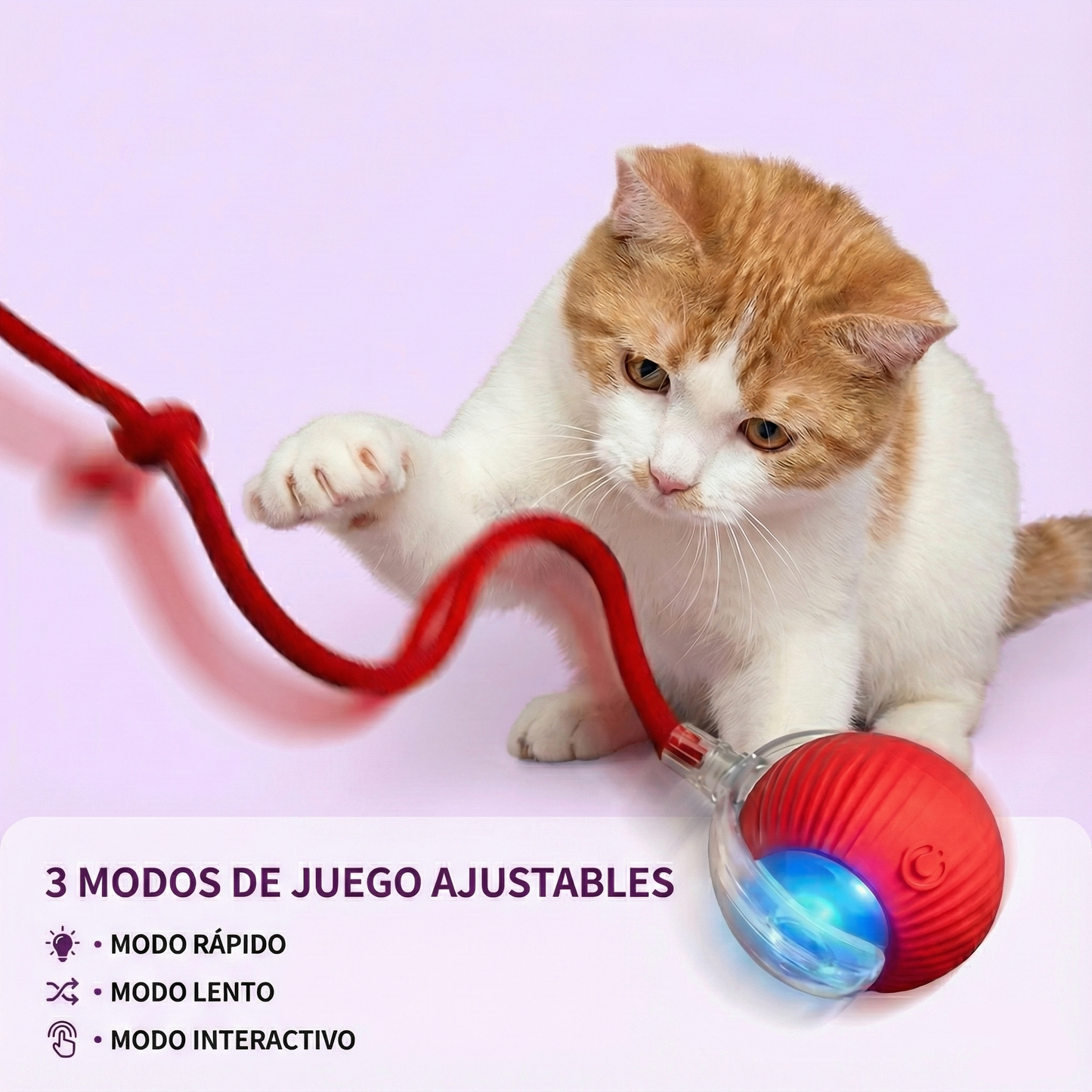 🪀ChaseBall® – Interactive Ball for Dogs and Cats