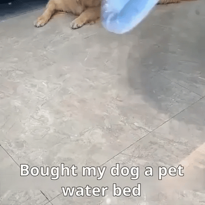 💦 AquaPlay™ – Sensory Water Mat for Dogs & Cats