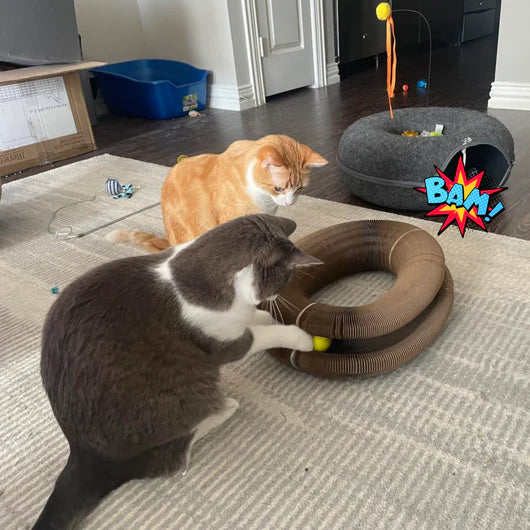 🐾ScratchPlay™ – 360° Interactive Cat Scratcher