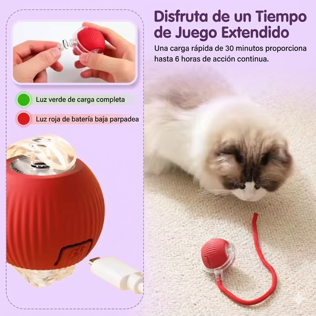 🪀ChaseBall® – Interactive Ball for Dogs and Cats