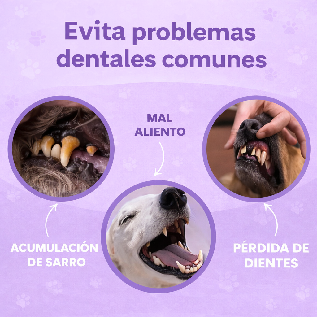 🦷 DentaPaw™ – Easy, fast, and stress-free dental cleaning (50pcs)