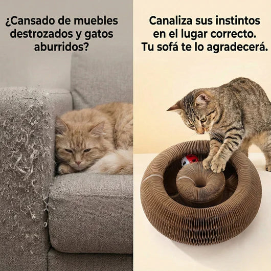🐾ScratchPlay™ – 360° Interactive Cat Scratcher
