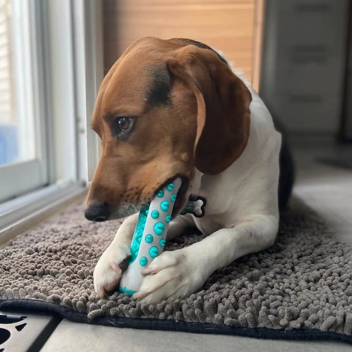 🦷 DentiCool™ – Daily Dental Care and Wellness for Your Dog