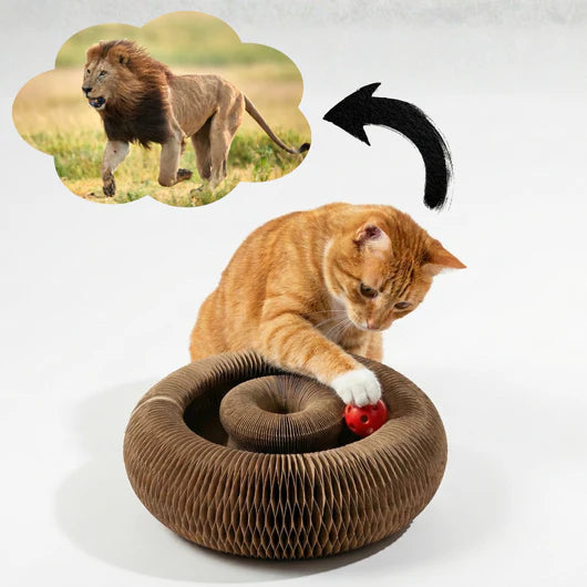 🐾ScratchPlay™ – 360° Interactive Cat Scratcher