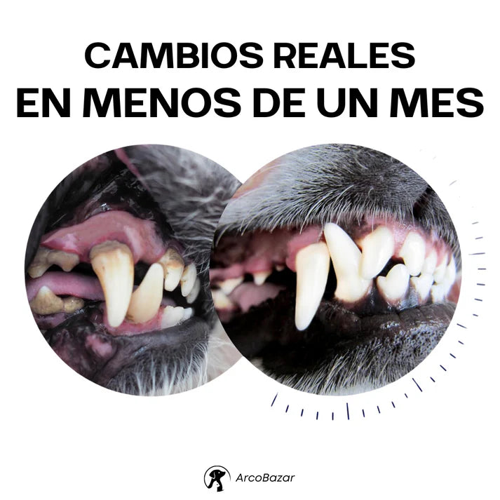 🦷 DentiCool™ – Daily Dental Care and Wellness for Your Dog