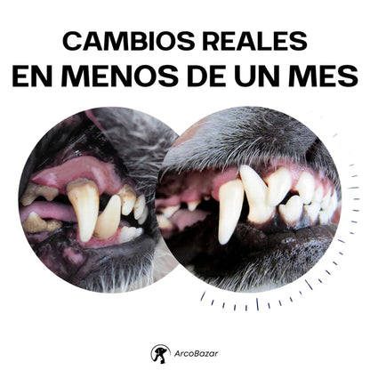 🦷 DentiCool™ – Daily Dental Care and Wellness for Your Dog
