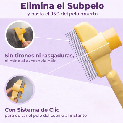 ✨Magic Brush VidaPeluda