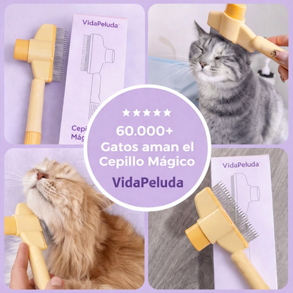 ✨Magic Brush VidaPeluda