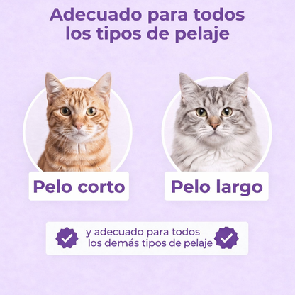 ✨Magic Brush VidaPeluda