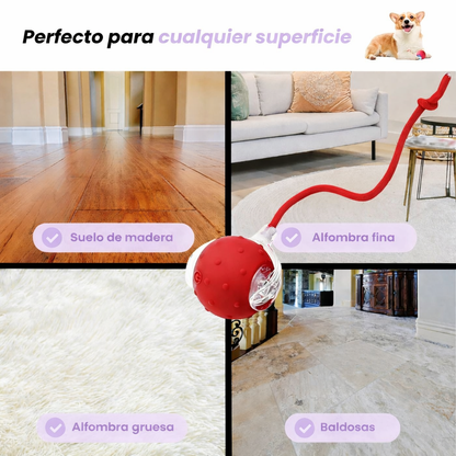 🪀ChaseBall® – Interactive Ball for Dogs and Cats