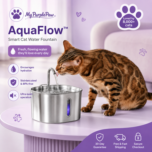 💦 AquaFlow™ – 2.2L Stainless Steel Cat Fountain