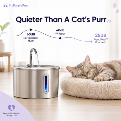 💦 AquaFlow™ – 2.2L Stainless Steel Cat Fountain