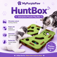 🎯 HuntBox® – Interactive Hunting Box