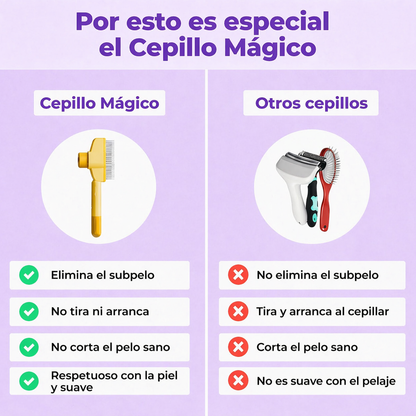 ✨Magic Brush VidaPeluda
