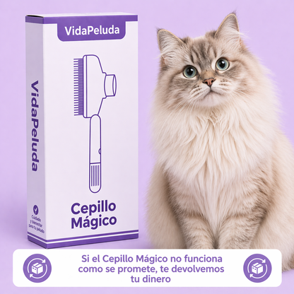 ✨Magic Brush VidaPeluda