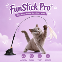 🐾 FunStick Pro® – Interactive Cat Suction Cup Toy