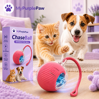 🪀ChaseBall® – Interactive Ball for Dogs and Cats