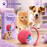 🪀ChaseBall® – Interactive Ball for Dogs and Cats