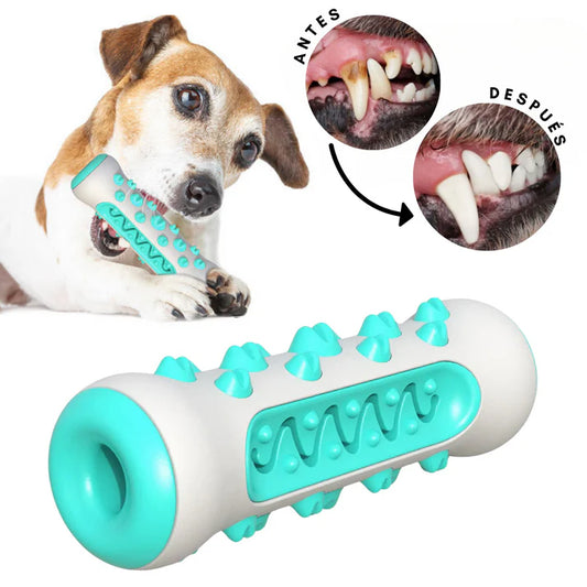 🦷 DentiCool™ – Daily Dental Care and Wellness for Your Dog