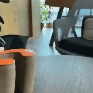 🐾ScratchPlay™ – 360° Interactive Cat Scratcher