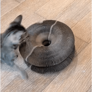 🐾ScratchPlay™ – 360° Interactive Cat Scratcher