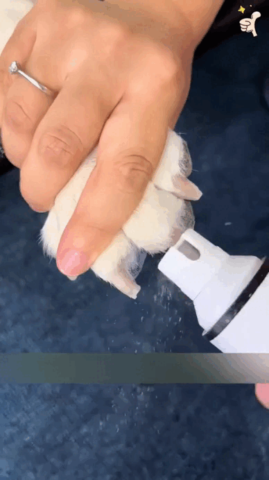 🐾NailCare Pro™ – Safe Electric Nail File for Dogs and Cats