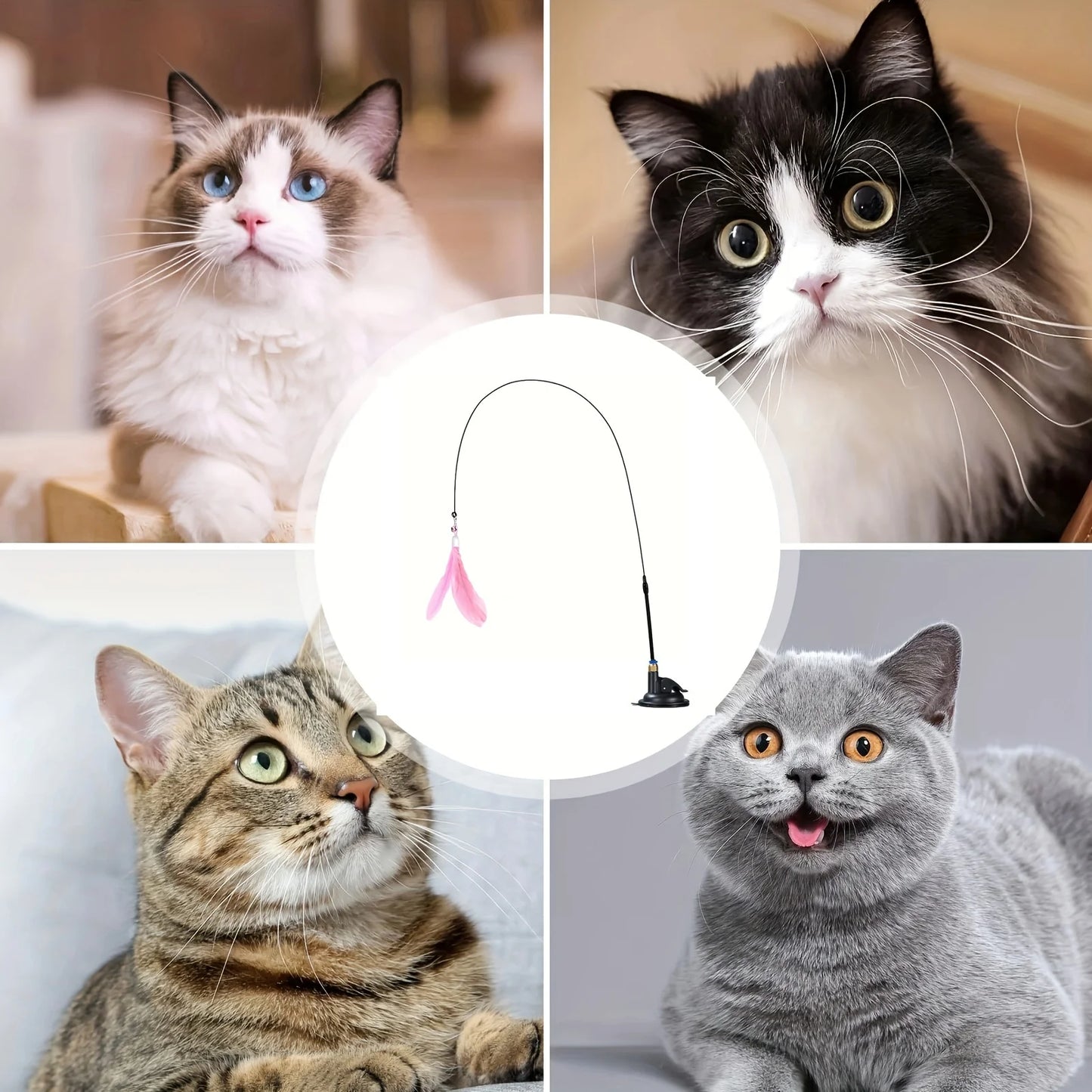 🐾 FunStick Pro® – Interactive Cat Suction Cup Toy