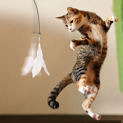 🐾 FunStick Pro® – Interactive Cat Suction Cup Toy