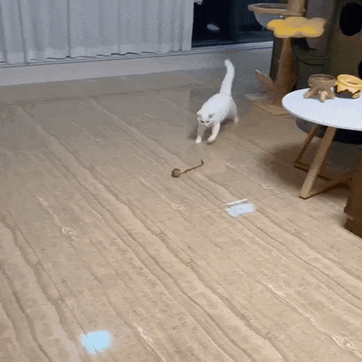 🪀ChaseBall® – Interactive Ball for Dogs and Cats