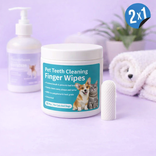 🦷 DentaPaw™ – Easy, fast, and stress-free dental cleaning (50pcs)