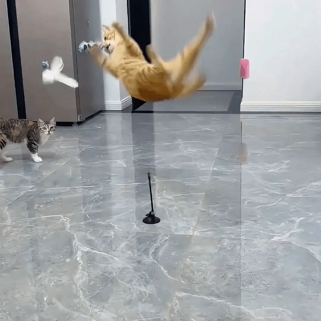 🐾 FunStick Pro® – Interactive Cat Suction Cup Toy