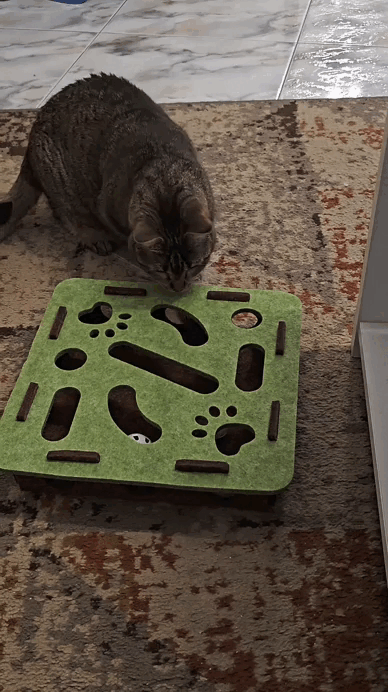 🎯HuntBox® – Interactive hunting box