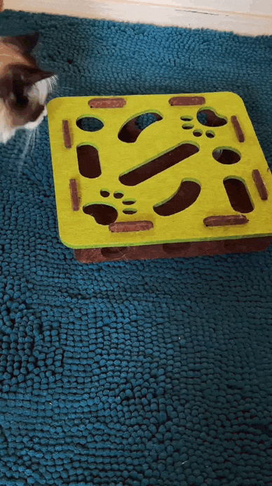 🎯HuntBox® – Interactive hunting box