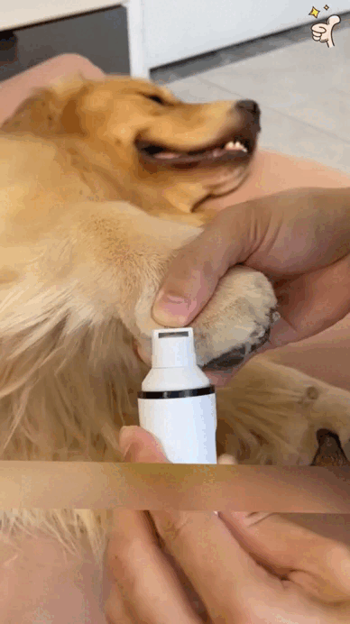 🐾NailCare Pro™ – Safe Electric Nail File for Dogs and Cats